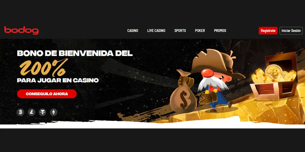 Bodog casino Bodog casino