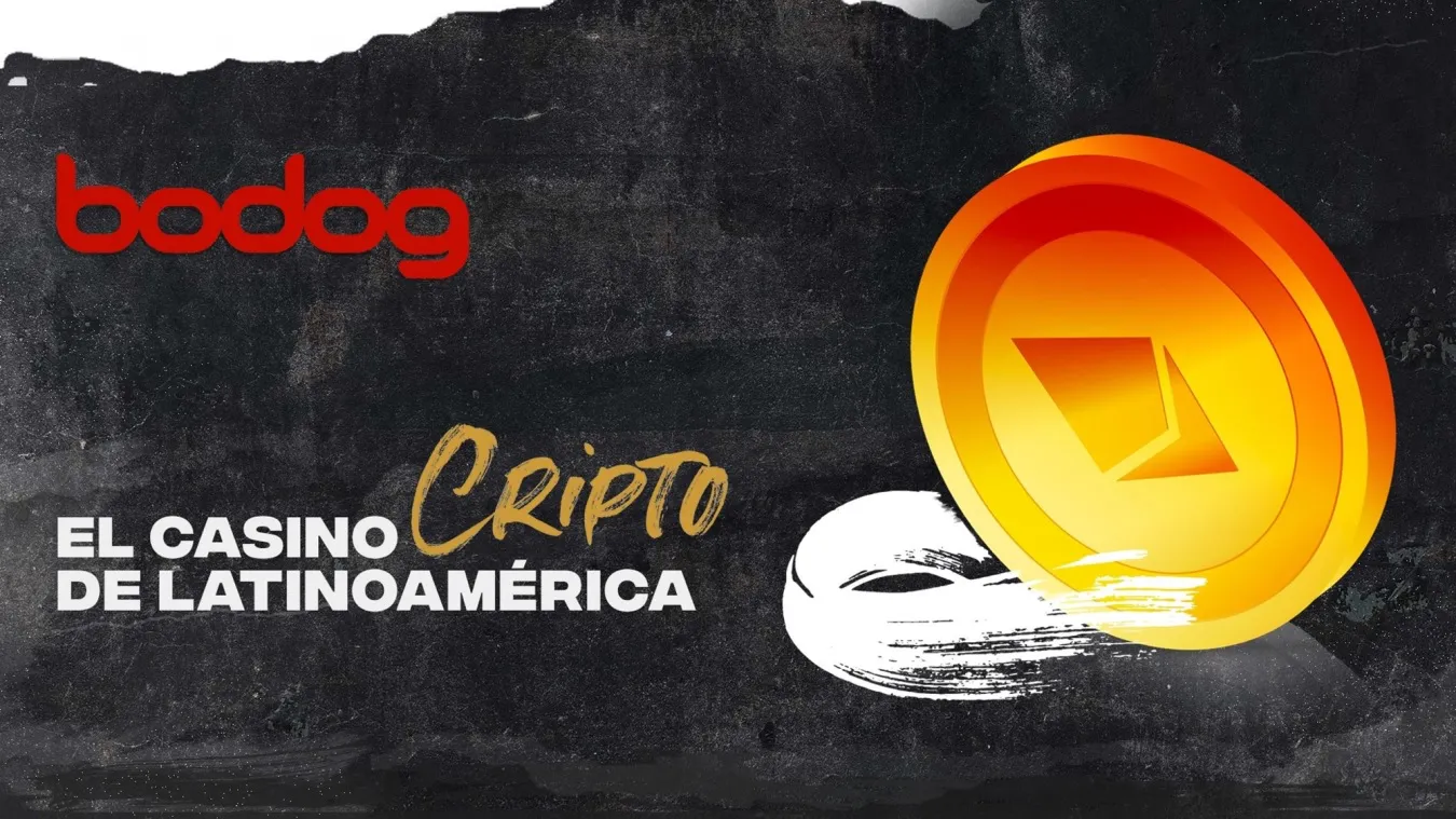 Bodog casino Bodog casino